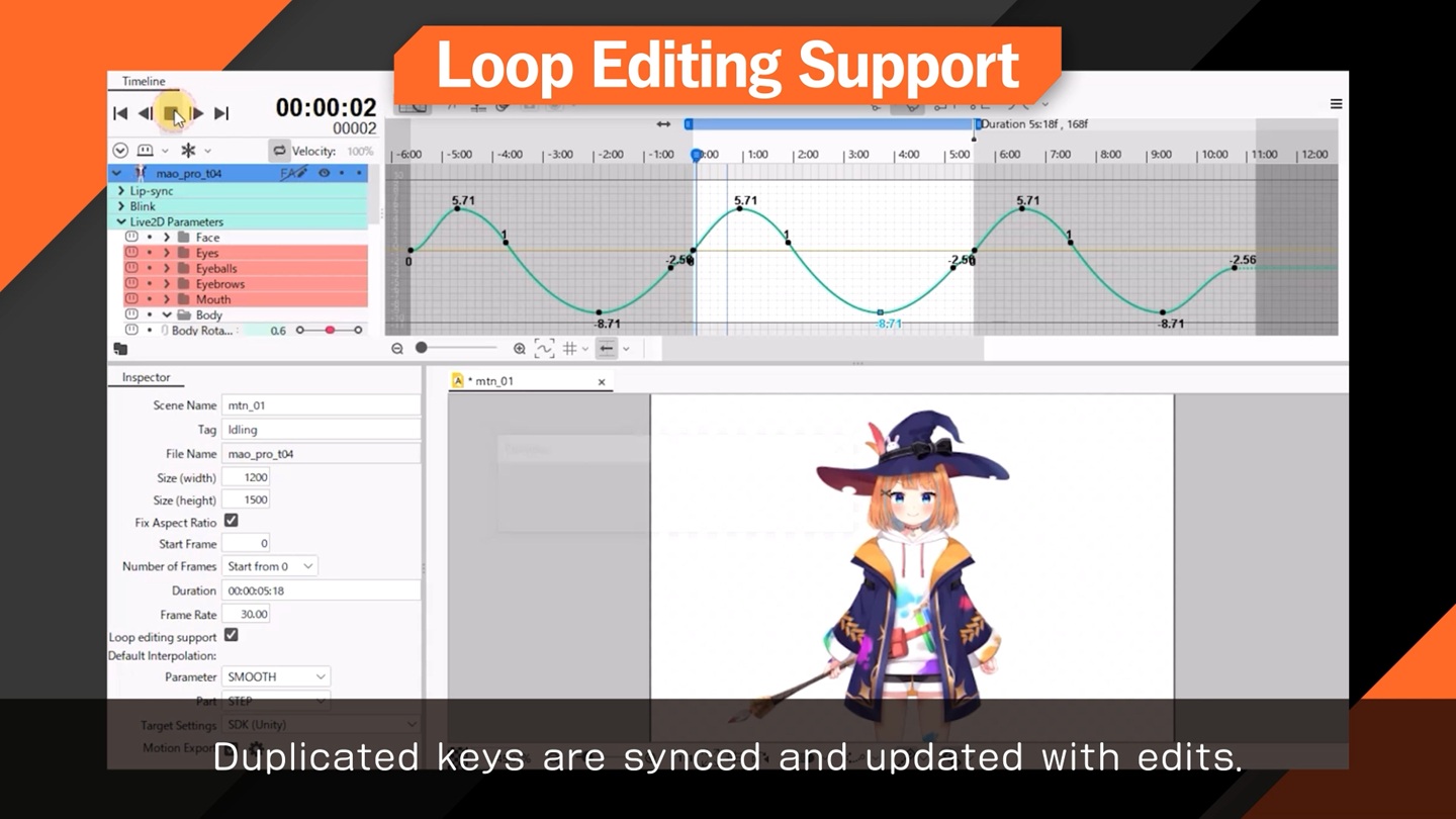 Loop editing support